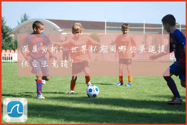 深度分析：世界杯期间哪些渠道提供合法竞猜？