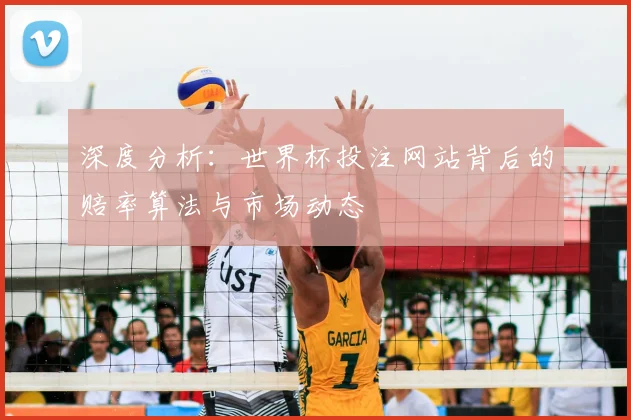 深度分析：世界杯投注网站背后的赔率算法与市场动态