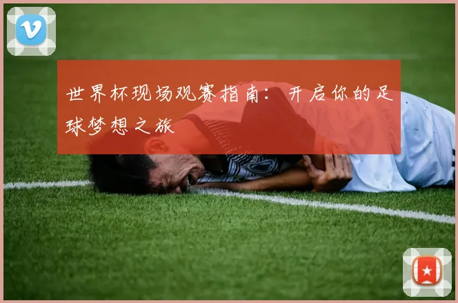 世界杯现场观赛指南:开启你的足球梦想之旅