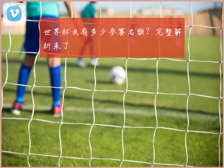 世界杯共有多少参赛名额？完整解析来了